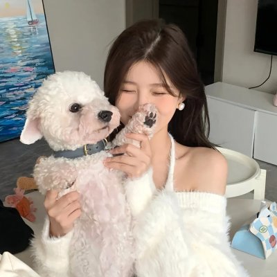 杂家高手