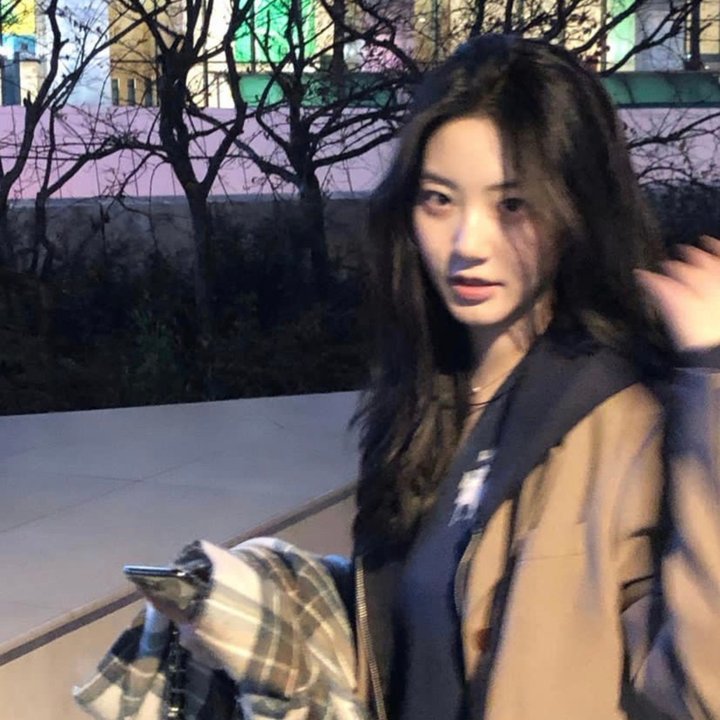 鸟,孤儿和愚人